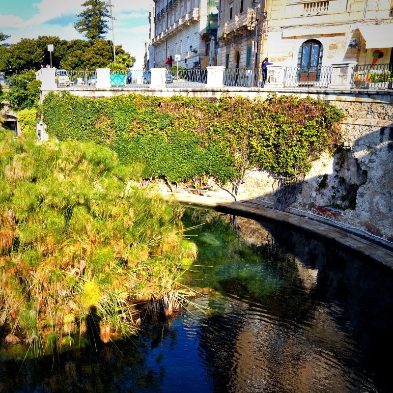 Isola di Ortigia Fonte Aretusa - Enjoy Siracusa